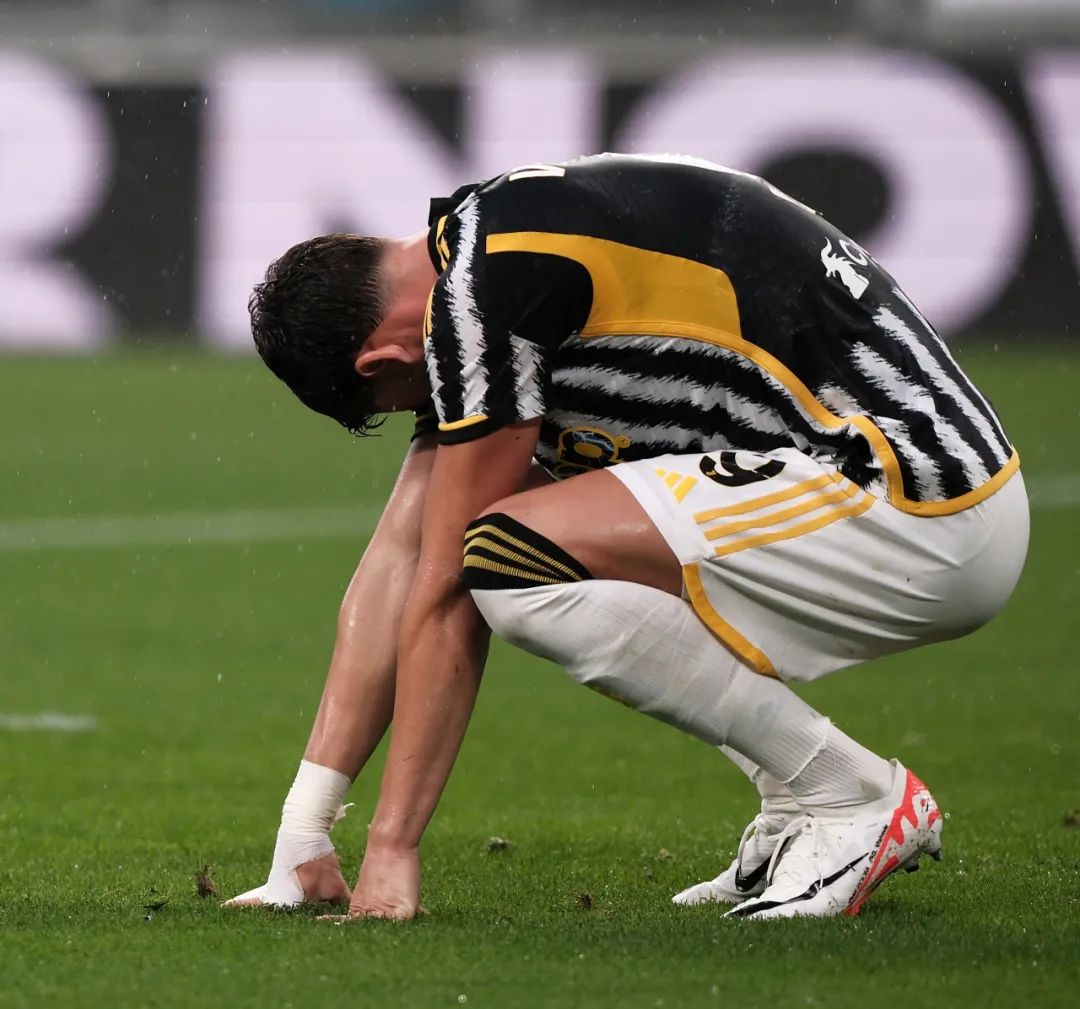 十足的年轻 十足的年轻